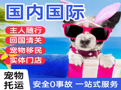 铜仁凤凰航空货运国际宠物托运 【国